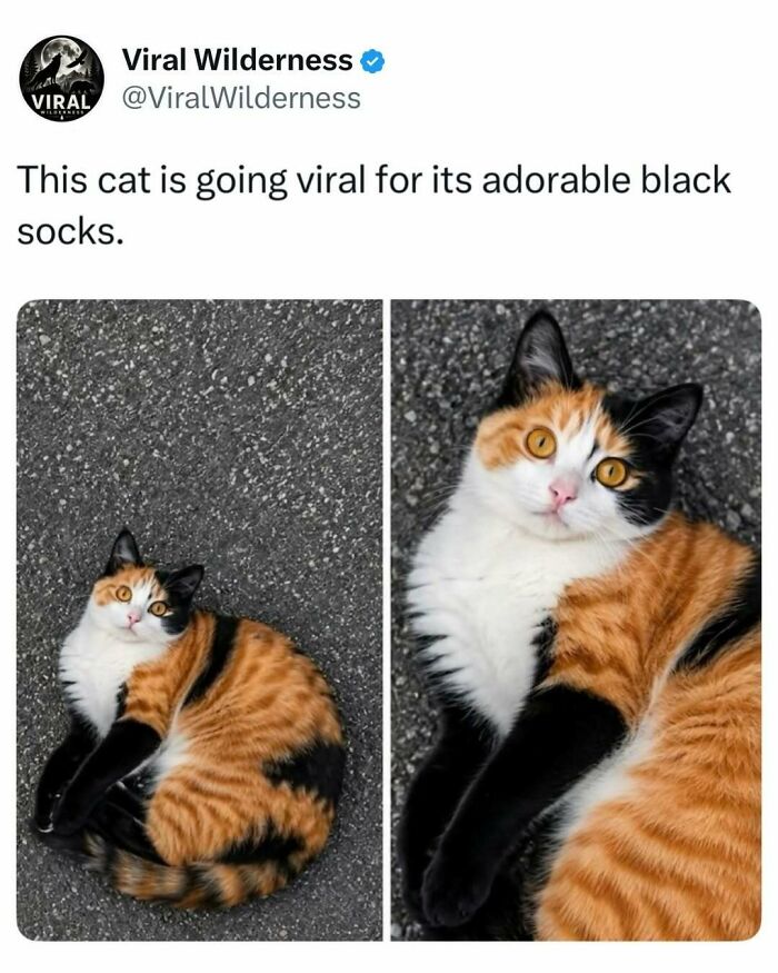 86 Posts About Nature, Wilderness And Animals To Make Your Day Better Or Teach You Something New
