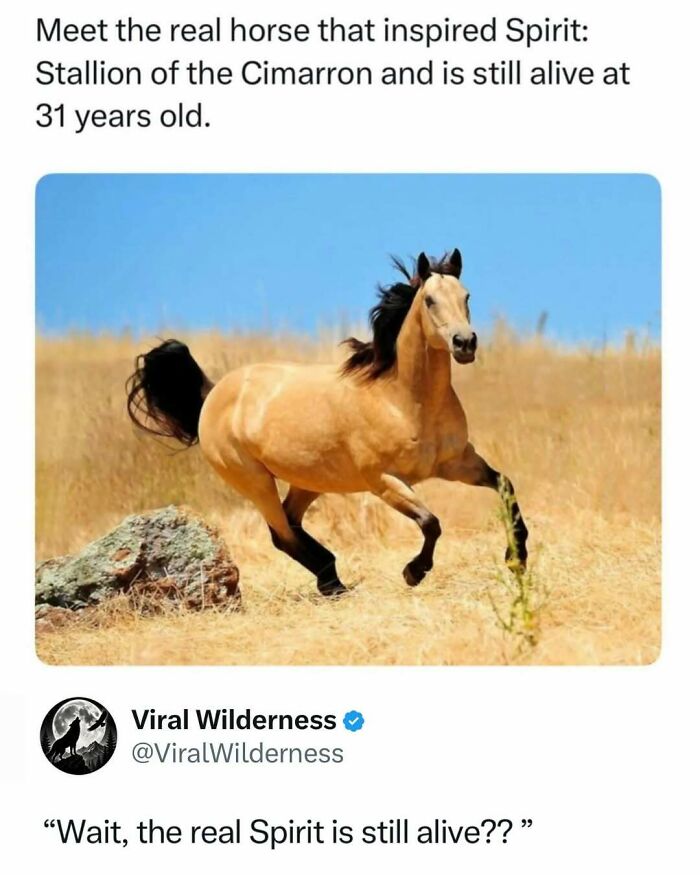 86 Posts About Nature, Wilderness And Animals To Make Your Day Better Or Teach You Something New