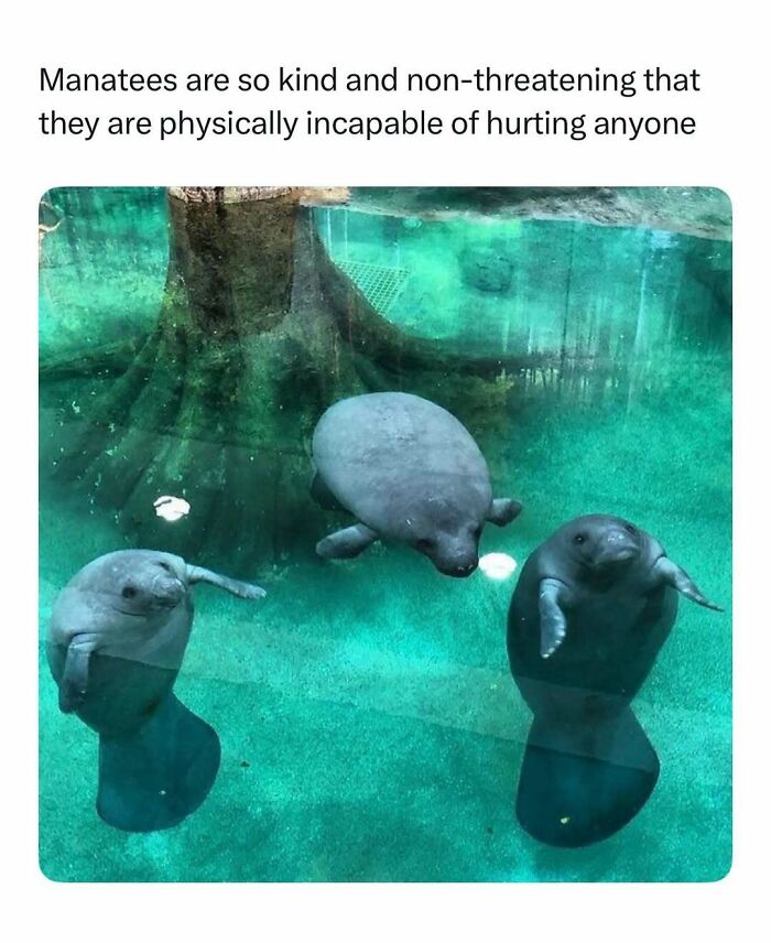 86 Posts About Nature, Wilderness And Animals To Make Your Day Better Or Teach You Something New