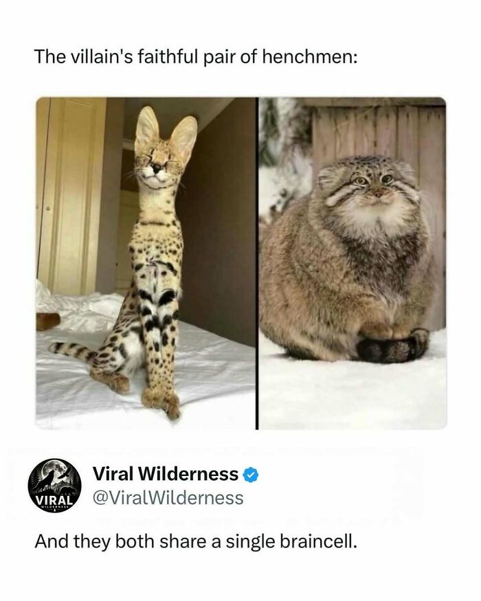 86 Posts About Nature, Wilderness And Animals To Make Your Day Better Or Teach You Something New