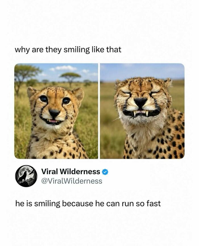 86 Posts About Nature, Wilderness And Animals To Make Your Day Better Or Teach You Something New