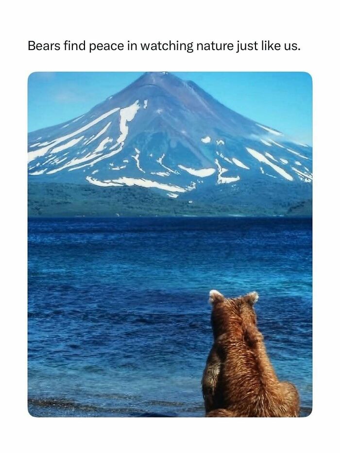 86 Posts About Nature, Wilderness And Animals To Make Your Day Better Or Teach You Something New
