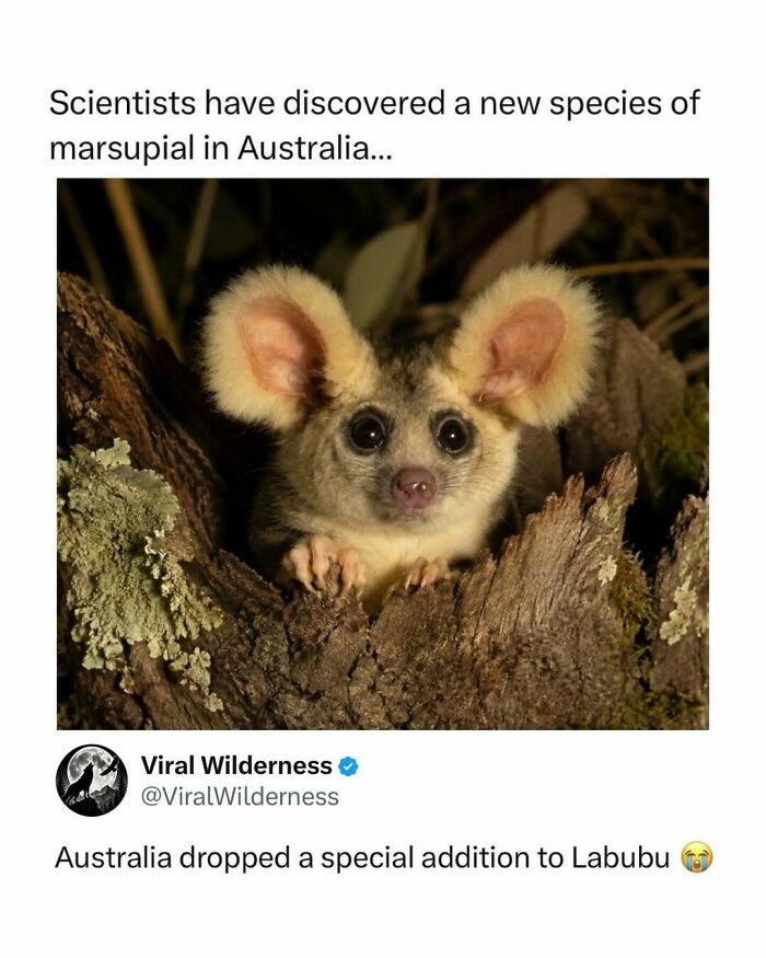 86 Posts About Nature, Wilderness And Animals To Make Your Day Better Or Teach You Something New