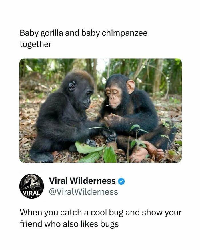 86 Posts About Nature, Wilderness And Animals To Make Your Day Better Or Teach You Something New