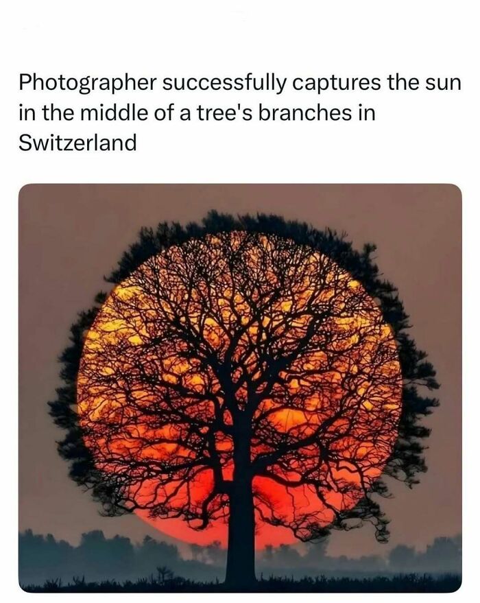 86 Posts About Nature, Wilderness And Animals To Make Your Day Better Or Teach You Something New