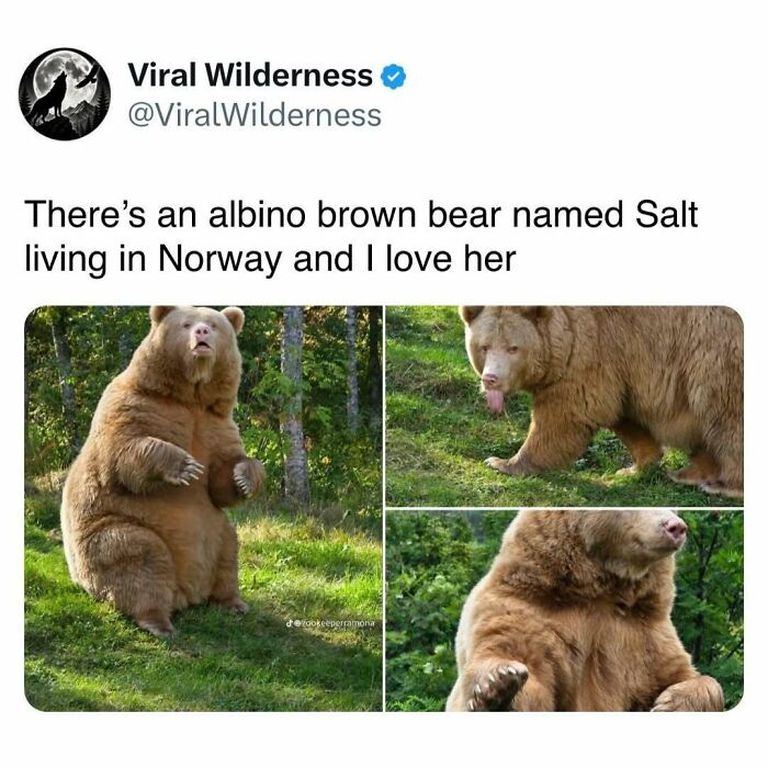 86 Posts About Nature, Wilderness And Animals To Make Your Day Better Or Teach You Something New