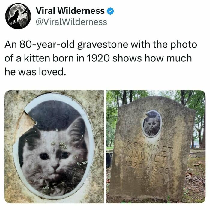 86 Posts About Nature, Wilderness And Animals To Make Your Day Better Or Teach You Something New
