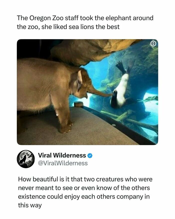 86 Posts About Nature, Wilderness And Animals To Make Your Day Better Or Teach You Something New