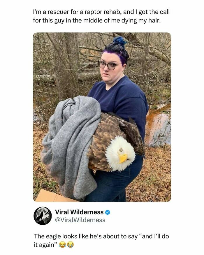 86 Posts About Nature, Wilderness And Animals To Make Your Day Better Or Teach You Something New