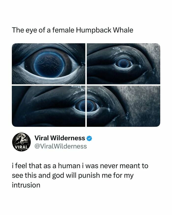 86 Posts About Nature, Wilderness And Animals To Make Your Day Better Or Teach You Something New