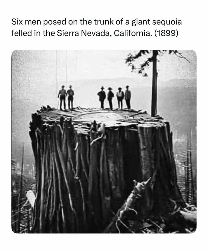 86 Posts About Nature, Wilderness And Animals To Make Your Day Better Or Teach You Something New