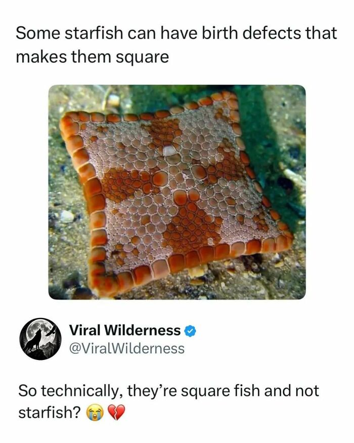 86 Posts About Nature, Wilderness And Animals To Make Your Day Better Or Teach You Something New