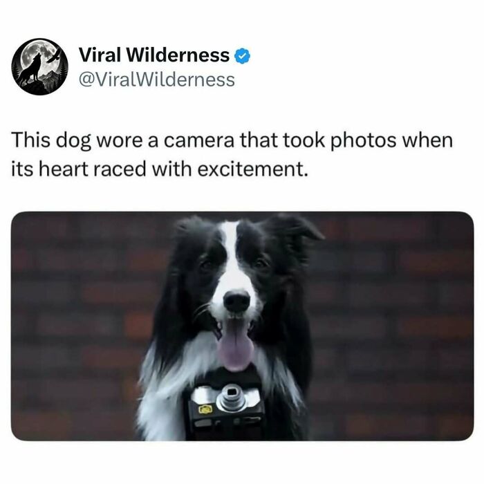 86 Posts About Nature, Wilderness And Animals To Make Your Day Better Or Teach You Something New