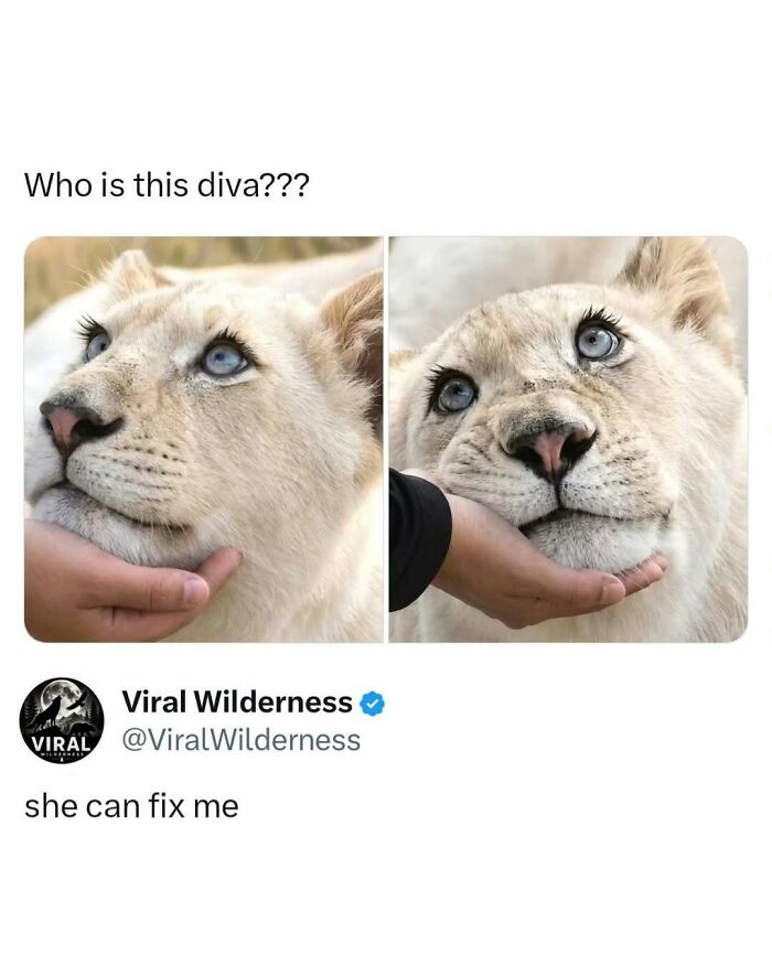 86 Posts About Nature, Wilderness And Animals To Make Your Day Better Or Teach You Something New