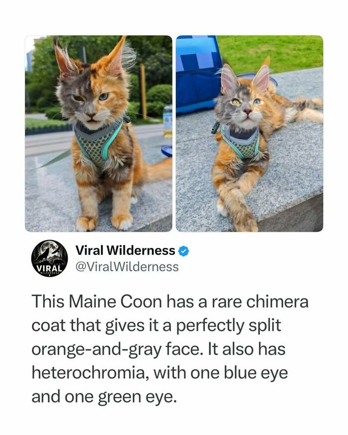 86 Posts About Nature, Wilderness And Animals To Make Your Day Better Or Teach You Something New