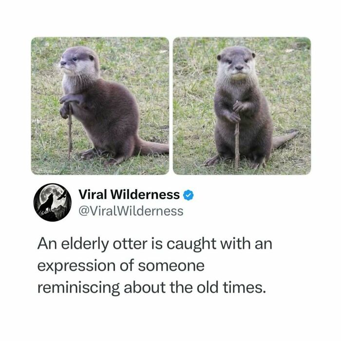 86 Posts About Nature, Wilderness And Animals To Make Your Day Better Or Teach You Something New