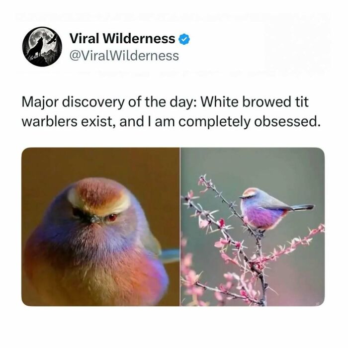 86 Posts About Nature, Wilderness And Animals To Make Your Day Better Or Teach You Something New