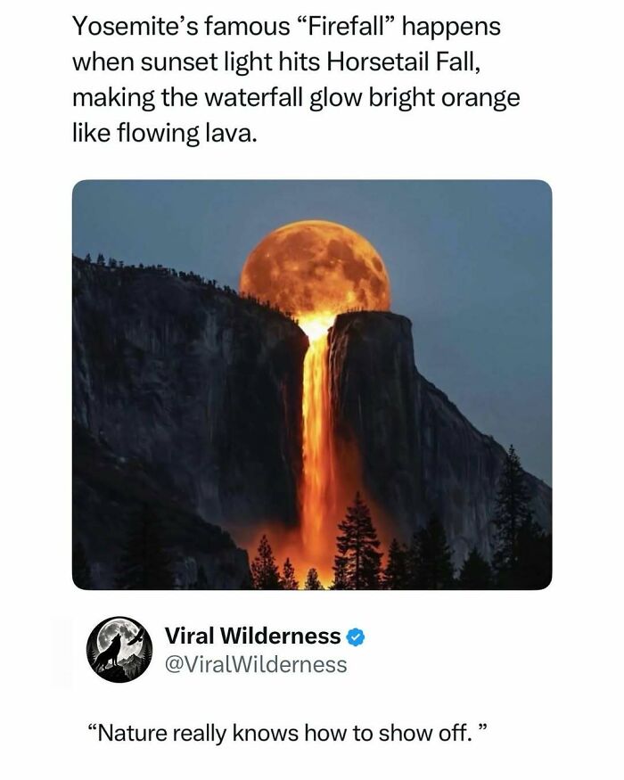 86 Posts About Nature, Wilderness And Animals To Make Your Day Better Or Teach You Something New