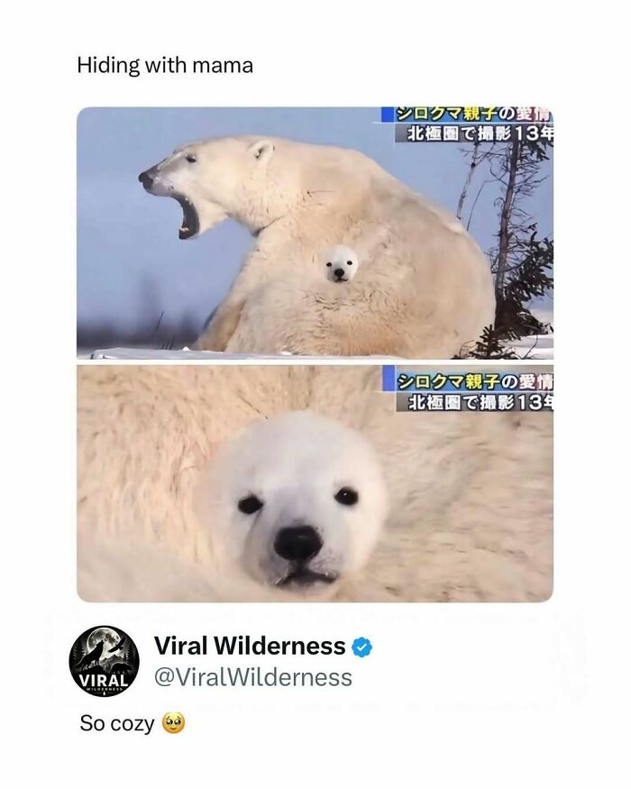 86 Posts About Nature, Wilderness And Animals To Make Your Day Better Or Teach You Something New