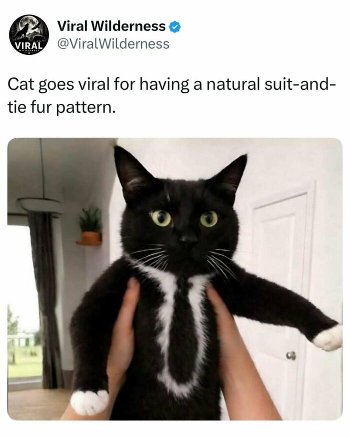 86 Posts About Nature, Wilderness And Animals To Make Your Day Better Or Teach You Something New