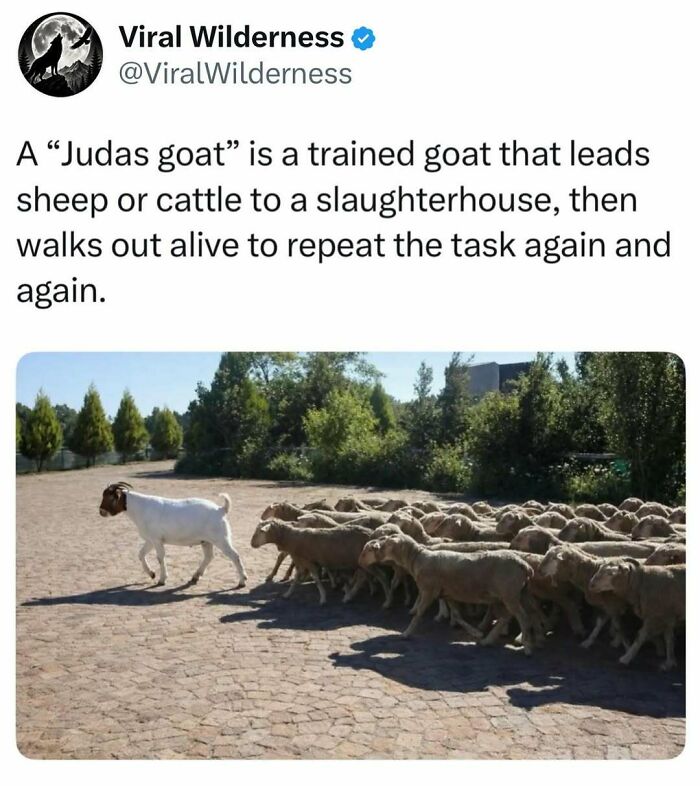 86 Posts About Nature, Wilderness And Animals To Make Your Day Better Or Teach You Something New