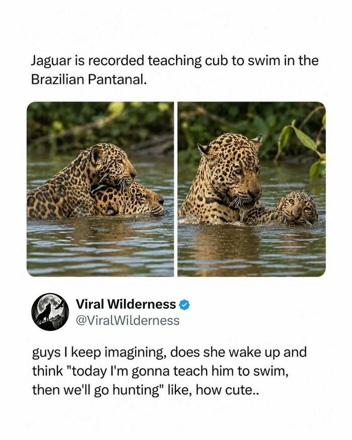 86 Posts About Nature, Wilderness And Animals To Make Your Day Better Or Teach You Something New