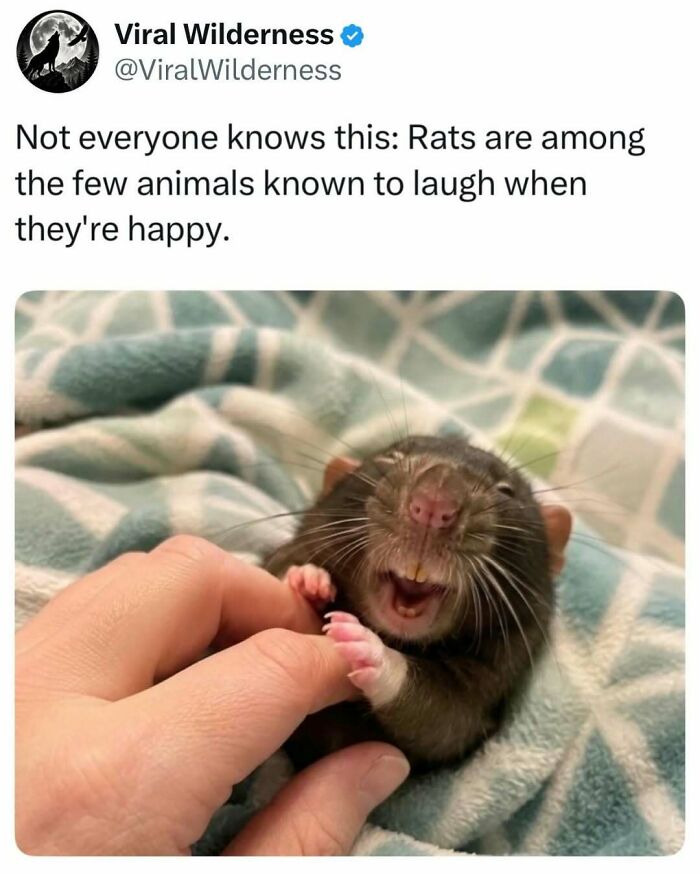 86 Posts About Nature, Wilderness And Animals To Make Your Day Better Or Teach You Something New