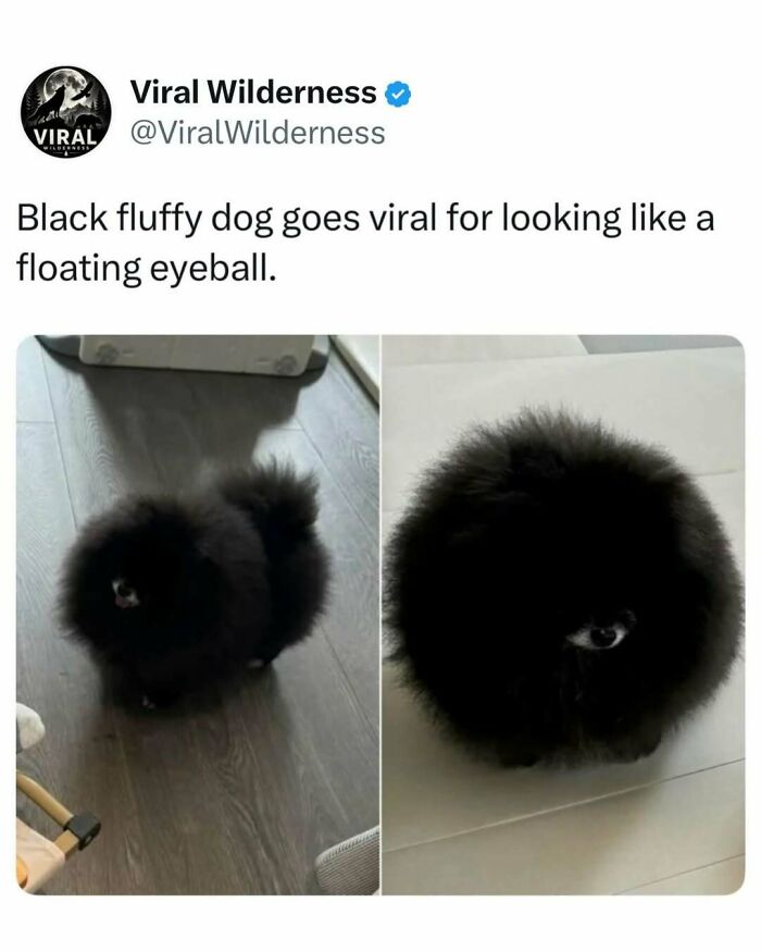 86 Posts About Nature, Wilderness And Animals To Make Your Day Better Or Teach You Something New