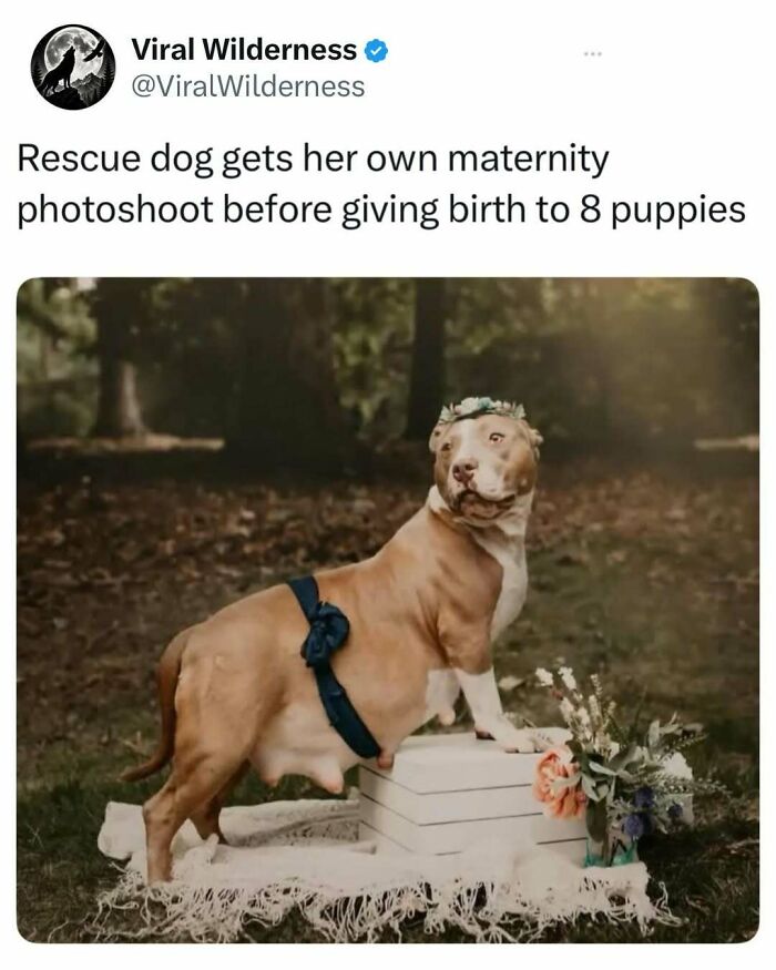 86 Posts About Nature, Wilderness And Animals To Make Your Day Better Or Teach You Something New
