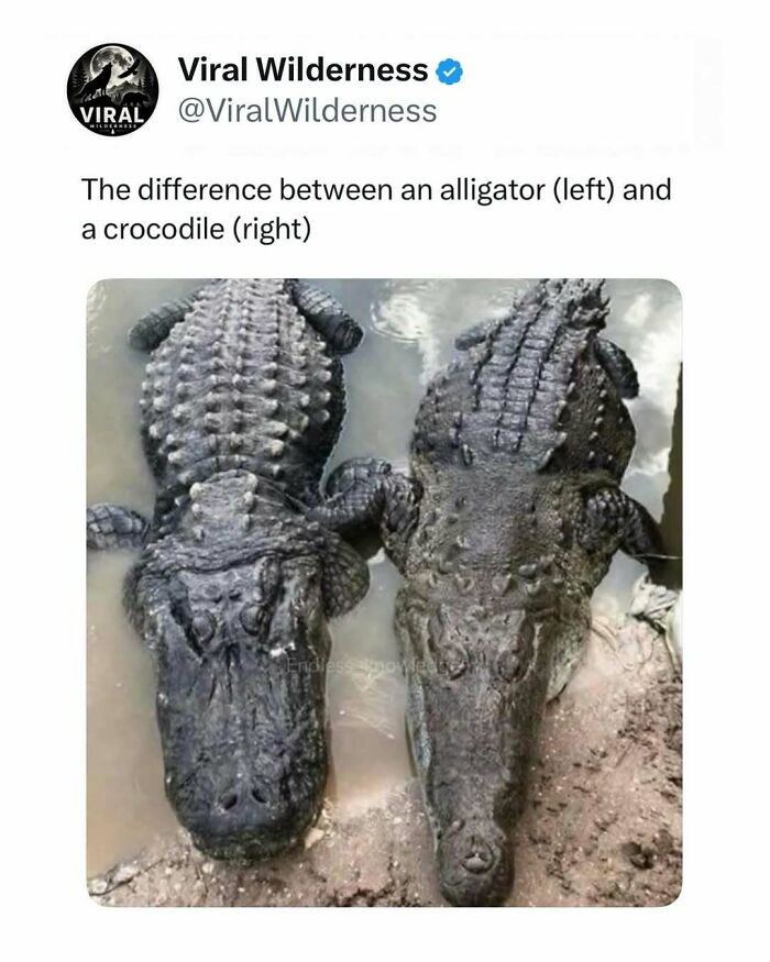 86 Posts About Nature, Wilderness And Animals To Make Your Day Better Or Teach You Something New