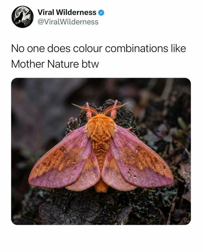 86 Posts About Nature, Wilderness And Animals To Make Your Day Better Or Teach You Something New