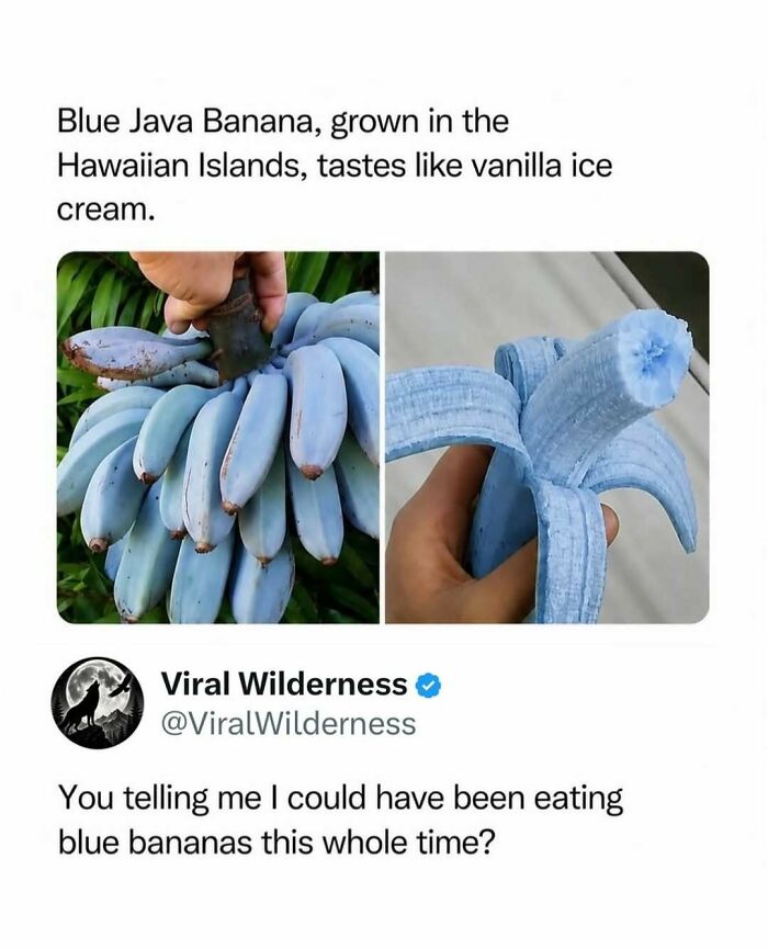 86 Posts About Nature, Wilderness And Animals To Make Your Day Better Or Teach You Something New