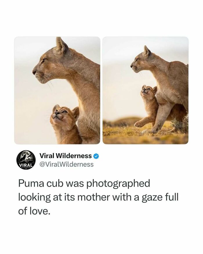 86 Posts About Nature, Wilderness And Animals To Make Your Day Better Or Teach You Something New