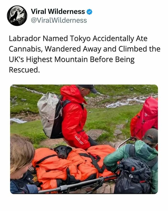 86 Posts About Nature, Wilderness And Animals To Make Your Day Better Or Teach You Something New