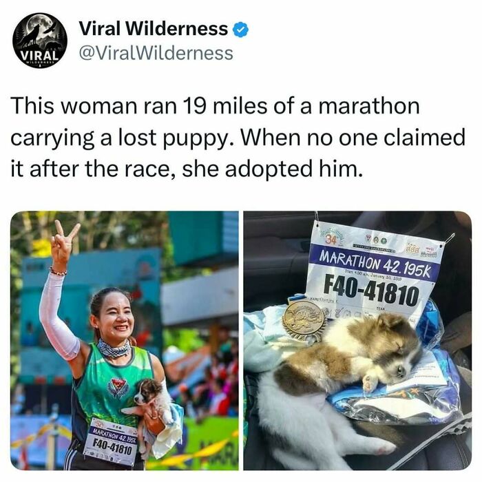 86 Posts About Nature, Wilderness And Animals To Make Your Day Better Or Teach You Something New