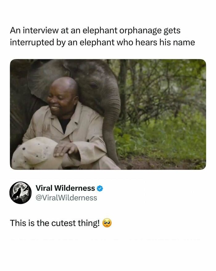 86 Posts About Nature, Wilderness And Animals To Make Your Day Better Or Teach You Something New
