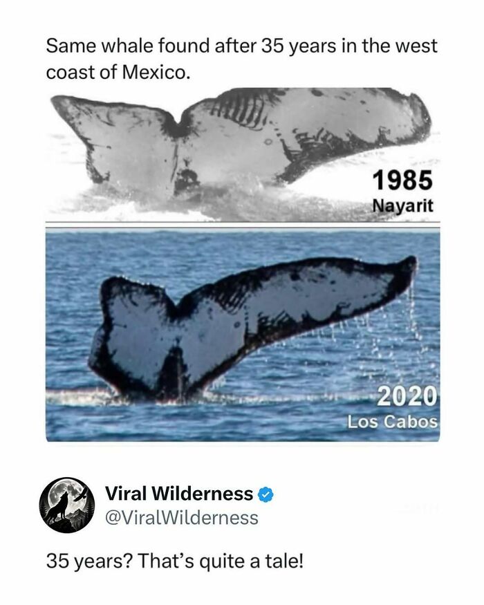 86 Posts About Nature, Wilderness And Animals To Make Your Day Better Or Teach You Something New