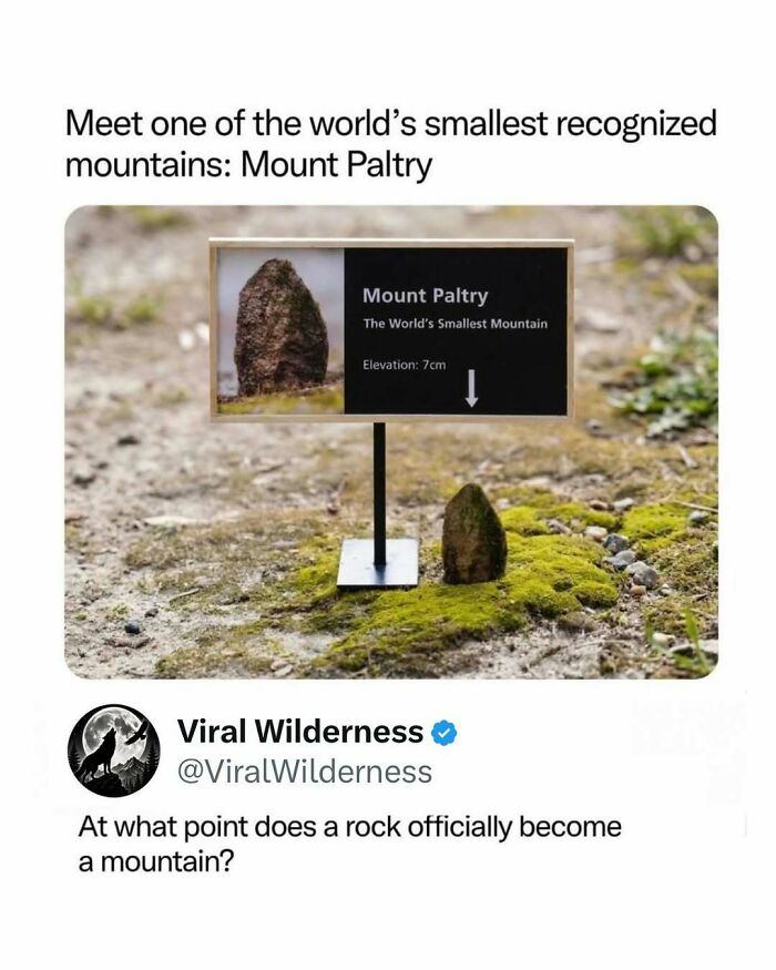 86 Posts About Nature, Wilderness And Animals To Make Your Day Better Or Teach You Something New