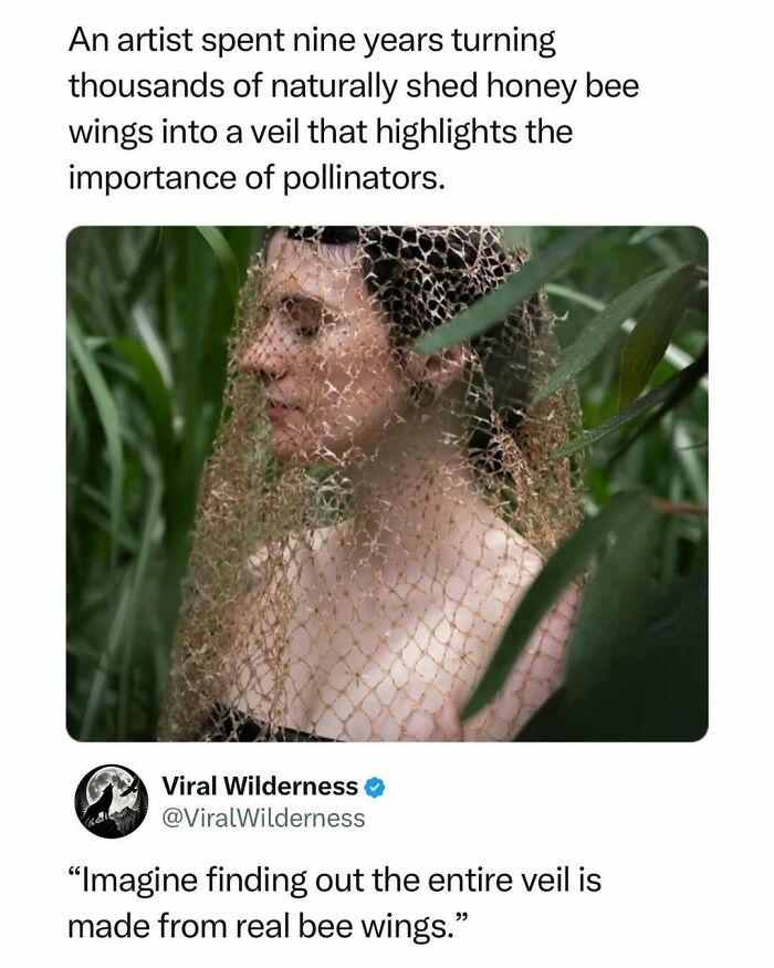 86 Posts About Nature, Wilderness And Animals To Make Your Day Better Or Teach You Something New