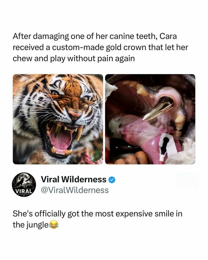 86 Posts About Nature, Wilderness And Animals To Make Your Day Better Or Teach You Something New