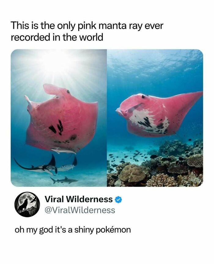 86 Posts About Nature, Wilderness And Animals To Make Your Day Better Or Teach You Something New