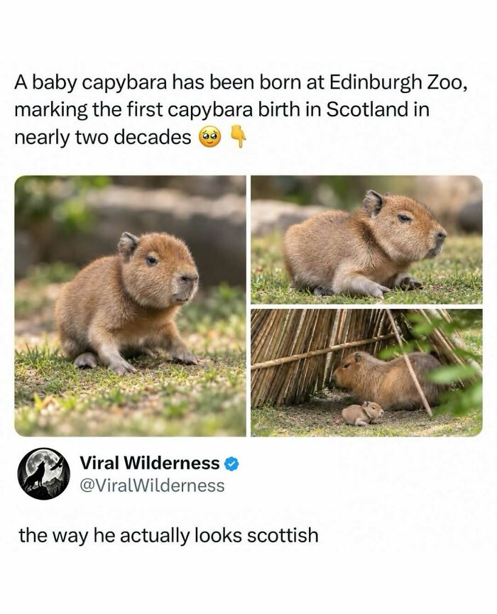 86 Posts About Nature, Wilderness And Animals To Make Your Day Better Or Teach You Something New