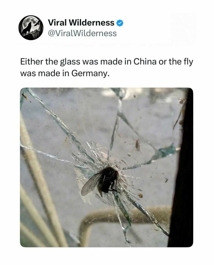 86 Posts About Nature, Wilderness And Animals To Make Your Day Better Or Teach You Something New