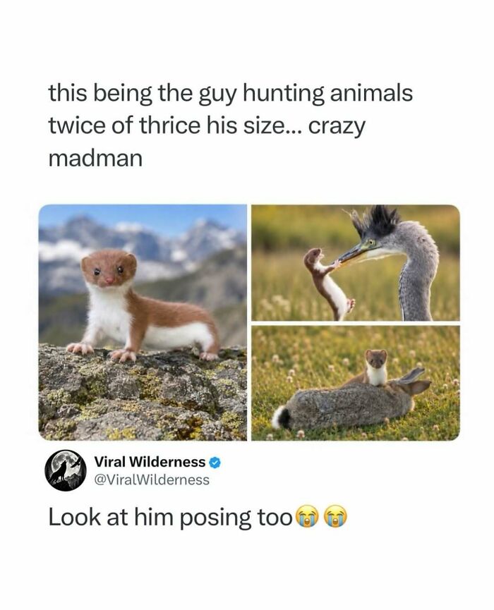 86 Posts About Nature, Wilderness And Animals To Make Your Day Better Or Teach You Something New