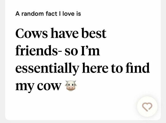 80 Wild And Weird Tinder Bios That Show Exactly What The Person Is Like 80 Wild And Weird Tinder Bios That Show Exactly What The Person Is Like