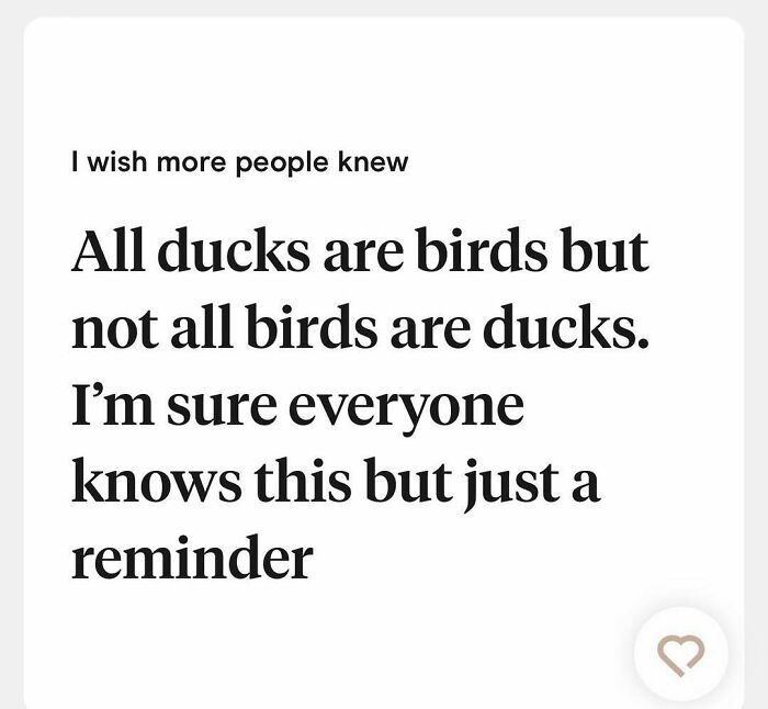 80 Wild And Weird Tinder Bios That Show Exactly What The Person Is Like 80 Wild And Weird Tinder Bios That Show Exactly What The Person Is Like