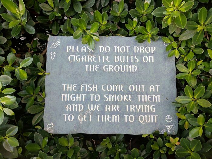 73 Hilarious And Unhinged Signs That Definitely Caught People’s Attention 73 Hilarious And Unhinged Signs That Definitely Caught People’s Attention