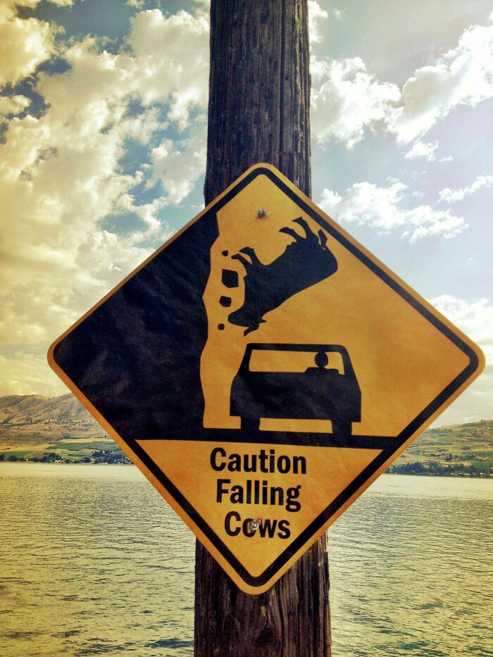 73 Hilarious And Unhinged Signs That Definitely Caught People’s Attention 73 Hilarious And Unhinged Signs That Definitely Caught People’s Attention