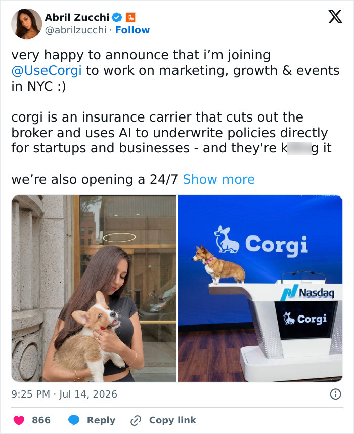 Corgi Tech Startup Faces Chaos After Employees’ Dating Demands And Bizarre Posts Sparked Backlash Corgi Tech Startup Faces Chaos After Employees’ Dating Demands And Bizarre Posts Sparked Backlash