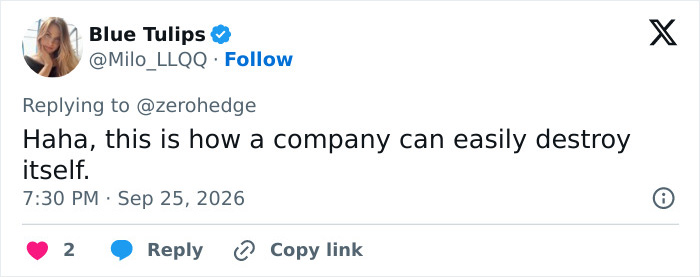 Corgi Tech Startup Faces Chaos After Employees’ Dating Demands And Bizarre Posts Sparked Backlash Corgi Tech Startup Faces Chaos After Employees’ Dating Demands And Bizarre Posts Sparked Backlash